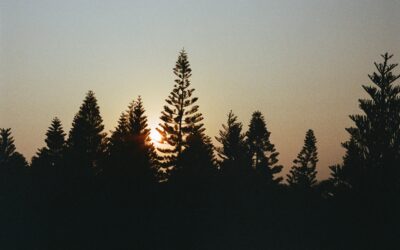 EMDR A Somatic Healing Approach